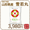山形県産 雪若丸 5kg(5kg×1袋) 令和7年産