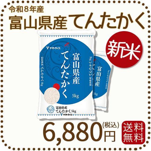 ＜新米＞ 富山県産てんたかく 白米 10kg(5kg×2袋) 米 お米 令和8年産