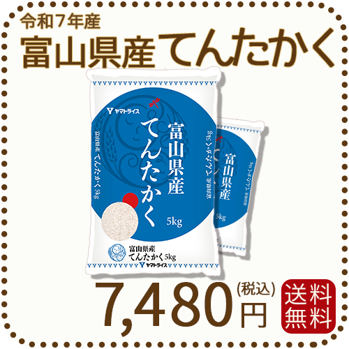 富山県産てんたかく 白米 10kg(5kg×2袋) 米 お米 令和7年産