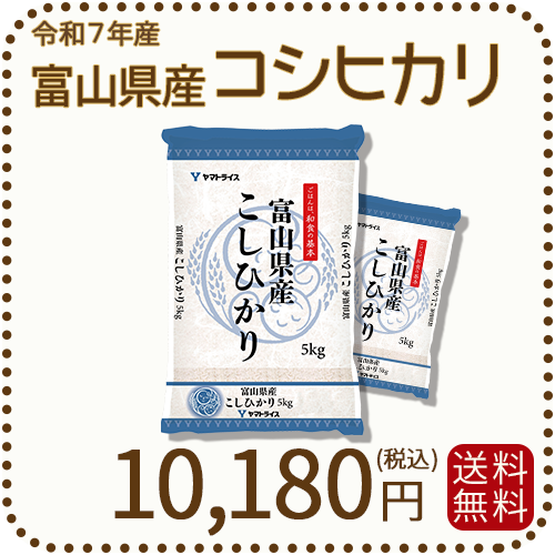 富山県産コシヒカリ 白米 10kg(5kg×2袋) 令和7年産 ヤマトライス 本店