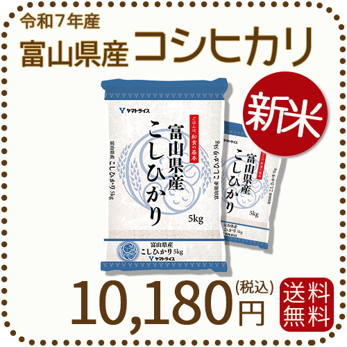 新米】富山県産コシヒカリ 白米 10kg(5kg×2袋) 令和7年産 ヤマト