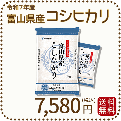 富山県産コシヒカリ 白米 10kg(5kg×2袋) 令和7年産 ヤマトライス 本店