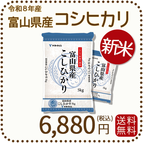 新米＞ 富山県産コシヒカリ 白米 10kg(5kg×2袋) 令和8年産 ヤマト