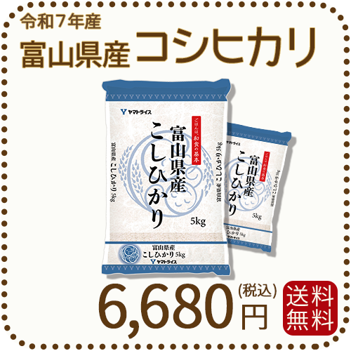富山県産コシヒカリ 白米 10kg(5kg×2袋) 令和7年産 ※9/11最終発送