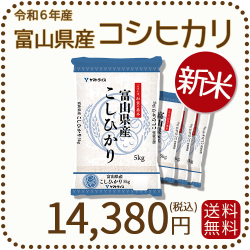【新米】富山県産コシヒカリ 白米 20kg(5kg×4袋) 令和4年産