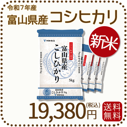 てん　コシヒカリ　20kg 白米 令和元年産コシヒカリ1等米20kg