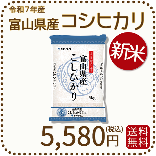 新米】富山県産コシヒカリ 白米 5kg(5kg×1袋) 令和7年産 ヤマト