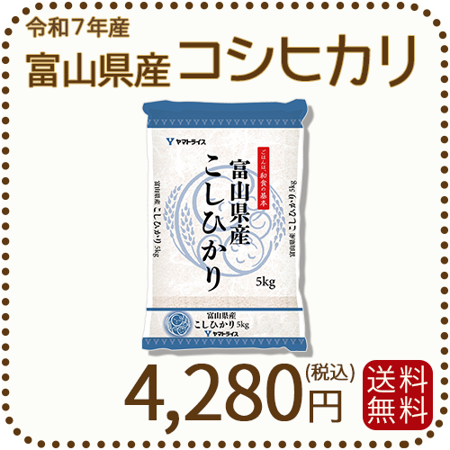 富山県産コシヒカリ 白米 5kg(5kg×1袋) 令和7年産