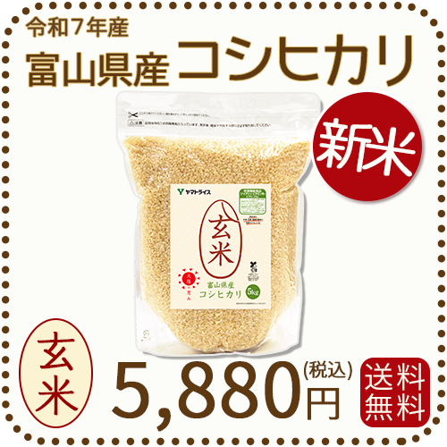 米　10kg富山県産コシヒカリ　玄米令和5年 富山県産コシヒカリ 玄米10kg | お米 富山県産 有限会社フジサワ