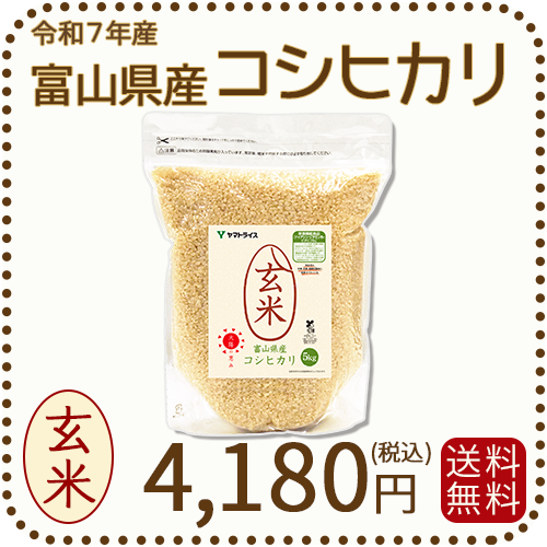 【栄養機能食品】富山県産コシヒカリ 玄米 5kg(5kg×1袋) 令和7年産 脱酸素剤