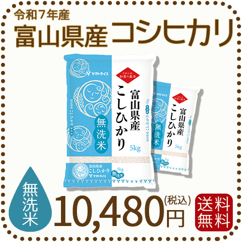 無洗米 富山県産コシヒカリ 10kg(5kg×2袋) 令和7年産 ヤマトライス 本店