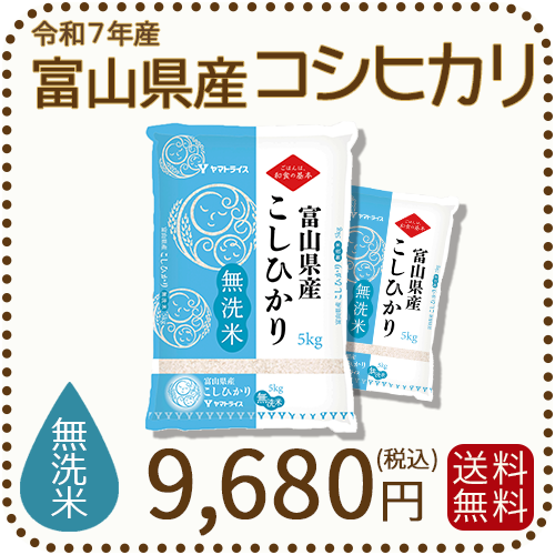 無洗米 富山県産コシヒカリ 10kg(5kg×2袋) 令和7年産 ヤマトライス 本店
