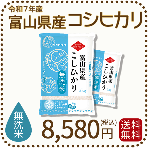無洗米 富山県産コシヒカリ 10kg(5kg×2袋) 令和7年産