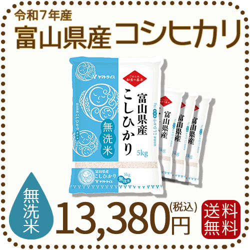 無洗米 富山県産コシヒカリ 20kg(5kg×4袋) 令和7年産 ※9/11最終発送