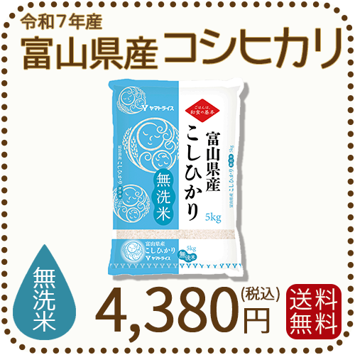 無洗米 富山県産コシヒカリ 5kg(5kg×1袋) 令和7年産