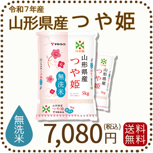山形県産 つや姫 無洗米 10kg(5kg×2袋) 令和7年産