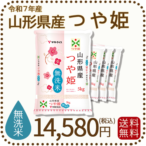 山形県産 つや姫 無洗米 20kg(5kg×4袋) 令和7年産