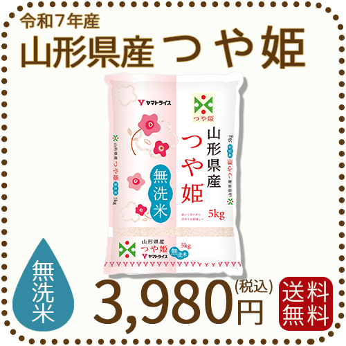 山形県産 つや姫 5kg(5kg×1袋) 無洗米 令和7年産
