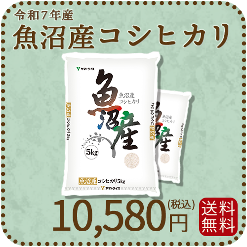 【高級銘柄】 新潟県魚沼産コシヒカリ 10kg（5kg×2袋) 令和7年産 特A