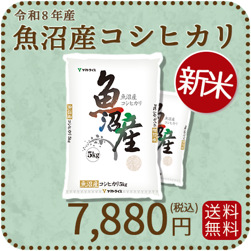 ＜新米＞【高級銘柄】 新潟県魚沼産コシヒカリ 10kg（5kg×2袋) 令和8年産