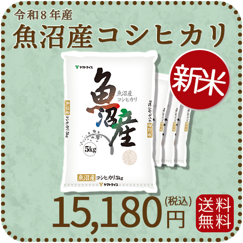 ＜新米＞【高級銘柄】 新潟県魚沼産コシヒカリ 20kg（5kg×4袋) 令和8年産