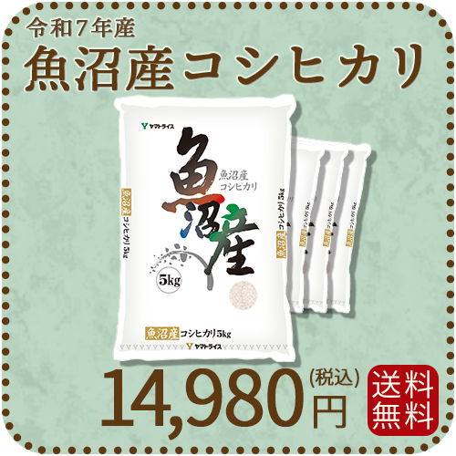 【高級銘柄】 新潟県魚沼産コシヒカリ 20kg（5kg×4袋) 令和7年産 特A