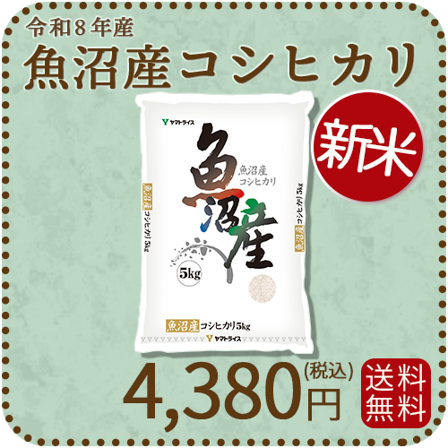 ＜新米＞【高級銘柄】 新潟県魚沼産コシヒカリ 5kg 令和8年産