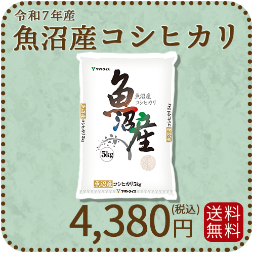 【高級銘柄】 新潟県魚沼産コシヒカリ 5kg 令和7年産 特A