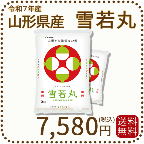 山形県産 雪若丸 10kg(5kg×2袋) 令和7年産