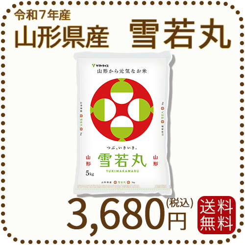 山形県産 雪若丸 5kg(5kg×1袋) 令和7年産