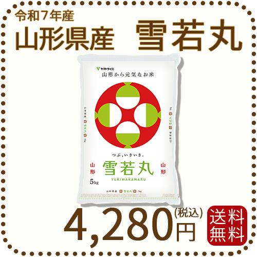 山形県産 雪若丸 5kg(5kg×1袋) 令和7年産