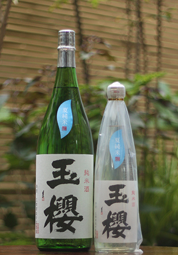 玉櫻　夏　純米