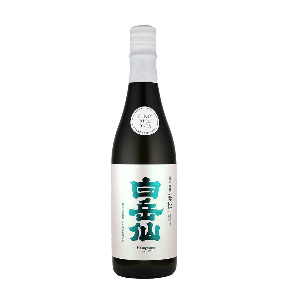 白岳仙　海松