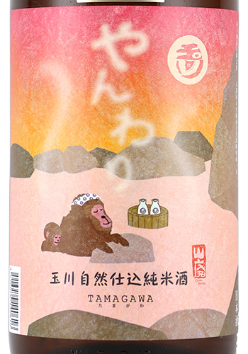 玉川　やんわり純米