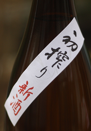 雁木　純米　初搾り