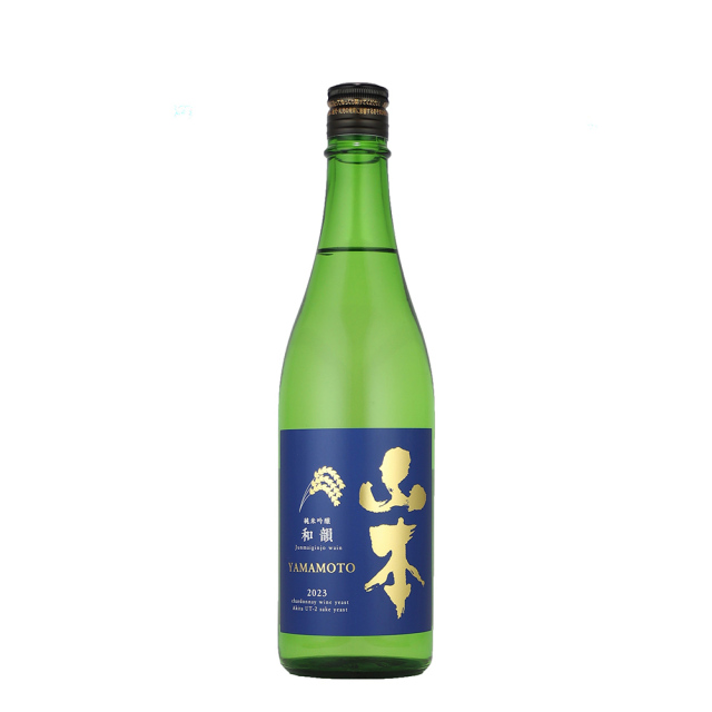 山本　和韻