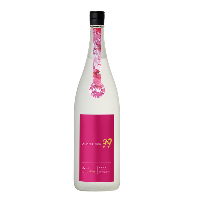寒菊　OCEAN99　凪　Spring Misty