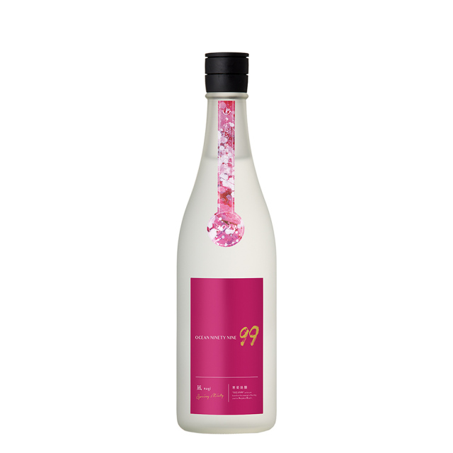 寒菊　OCEAN99　凪　Spring Misty