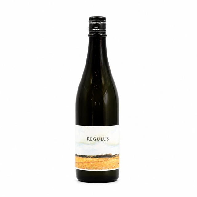 あべ REGULUS（レグルス）2025 vol.1-2　720ml 阿部酒造 スターシリーズ
