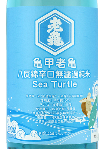 亀甲老亀　seaTurtle