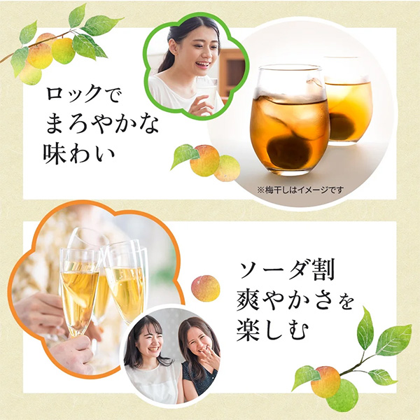 梅樹園（ばいじゅえん） オリジナル梅酒「B」  720ml