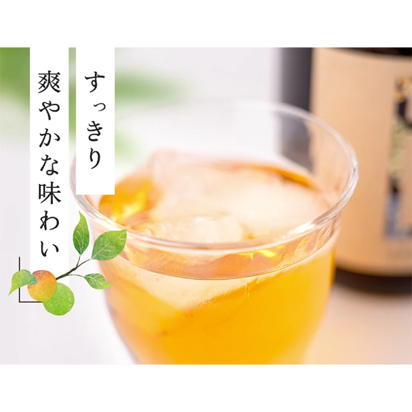 梅樹園（ばいじゅえん） オリジナル梅酒「B」  720ml