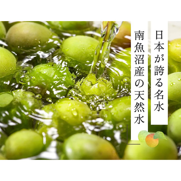 梅樹園（ばいじゅえん） オリジナル梅酒「B」  720ml