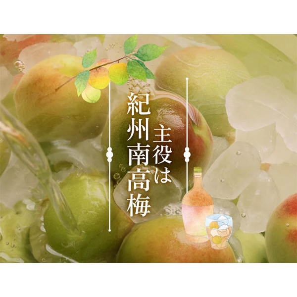 梅樹園（ばいじゅえん） オリジナル梅酒「B」  720ml