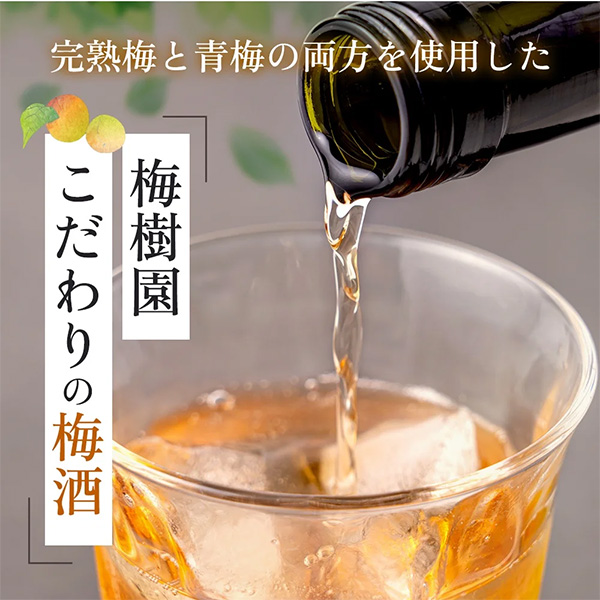 梅樹園（ばいじゅえん） オリジナル梅酒「B」  720ml
