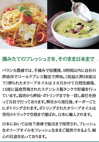 有機栽培EX.V オリーブオイル「バランカ」　（OLIO EXTRAVERGINE DI OLIVA）　250ml