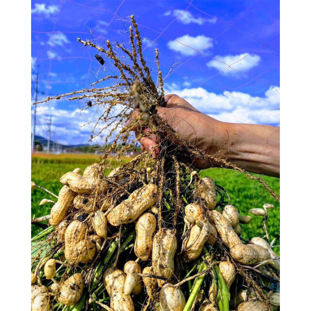 ピエール Liner Wheel, Rear, Left, Black, Part 5454861-070 | Polaris RANGER