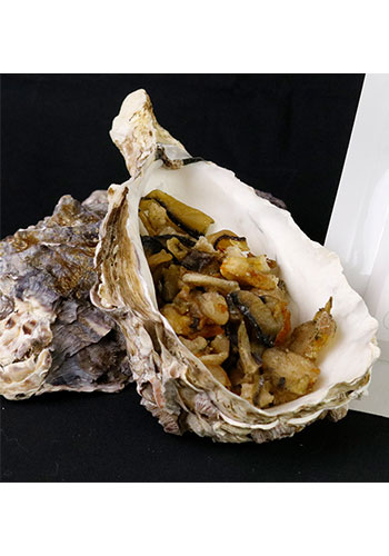 KAKIJANJERKeY （牡蠣ジャーキー） 15g