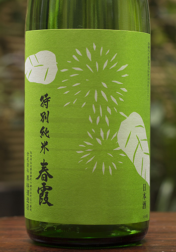 春霞（はるかすみ）　栗ラベル（緑）　特別純米　八反錦