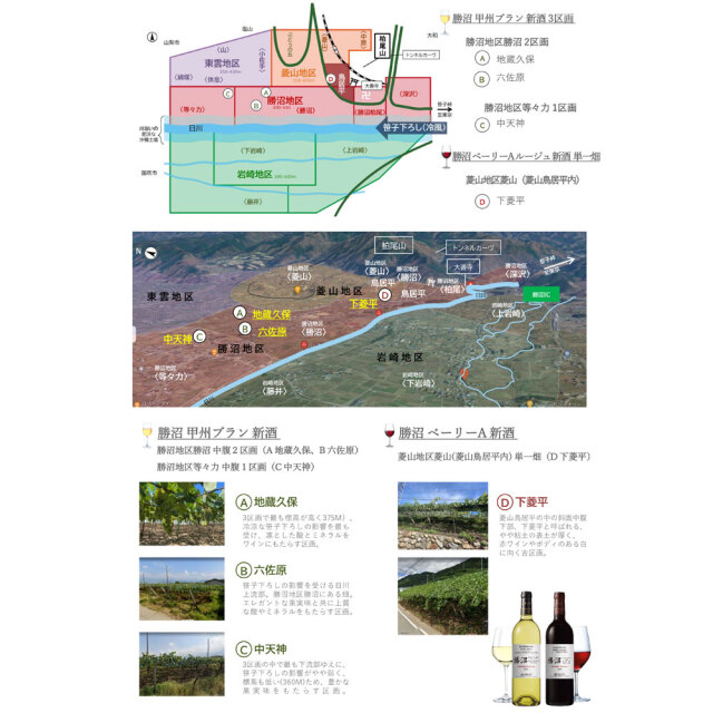 【鳥居平今村】勝沼 甲州ブラン 新酒 トロワ テロワール　白　2025　750ml